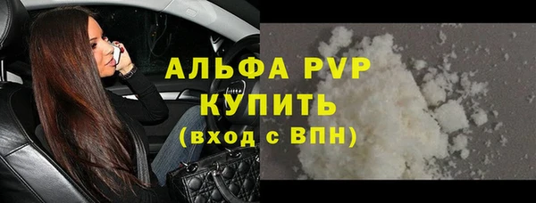 ГАЛЛЮЦИНОГЕННЫЕ ГРИБЫ Осинники
