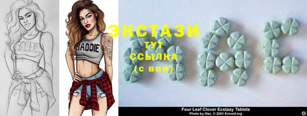 ГАЛЛЮЦИНОГЕННЫЕ ГРИБЫ Осинники