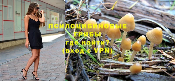 первитин Осташков