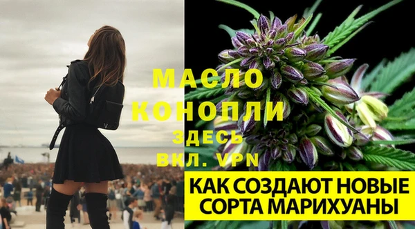 первитин Осташков