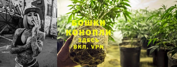 первитин Осташков