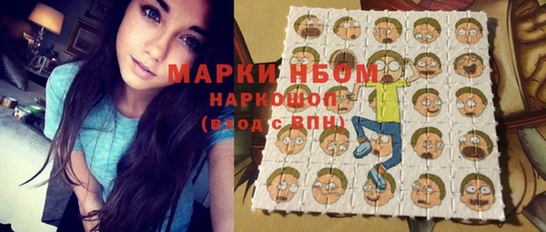 ГАЛЛЮЦИНОГЕННЫЕ ГРИБЫ Осинники
