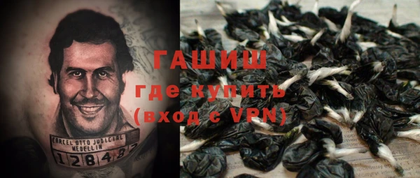 ГАЛЛЮЦИНОГЕННЫЕ ГРИБЫ Осинники