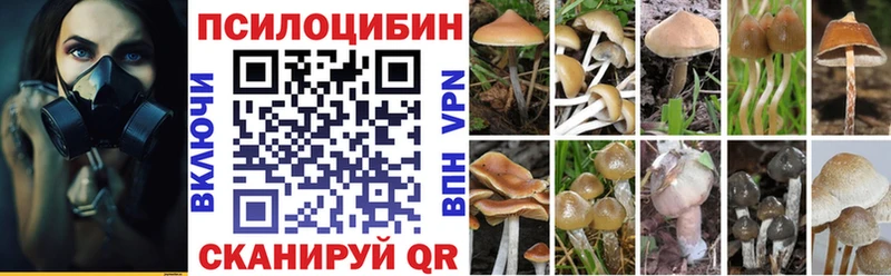 кракен   Торопец  Галлюциногенные грибы мухоморы 